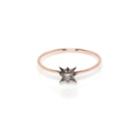 Workhorse Jewelry - Astra