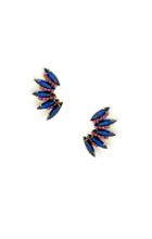 Elizabeth Cole Jewelry - Rowen Earrings