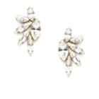 Elizabeth Cole Jewelry - Mareko Earring Crystal