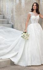 Rachel Allan Bridal - Sheer Lace Embroidered Wedding Ballgown M615