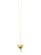 Heather Gardner - Petite Shark Tooth Necklace
