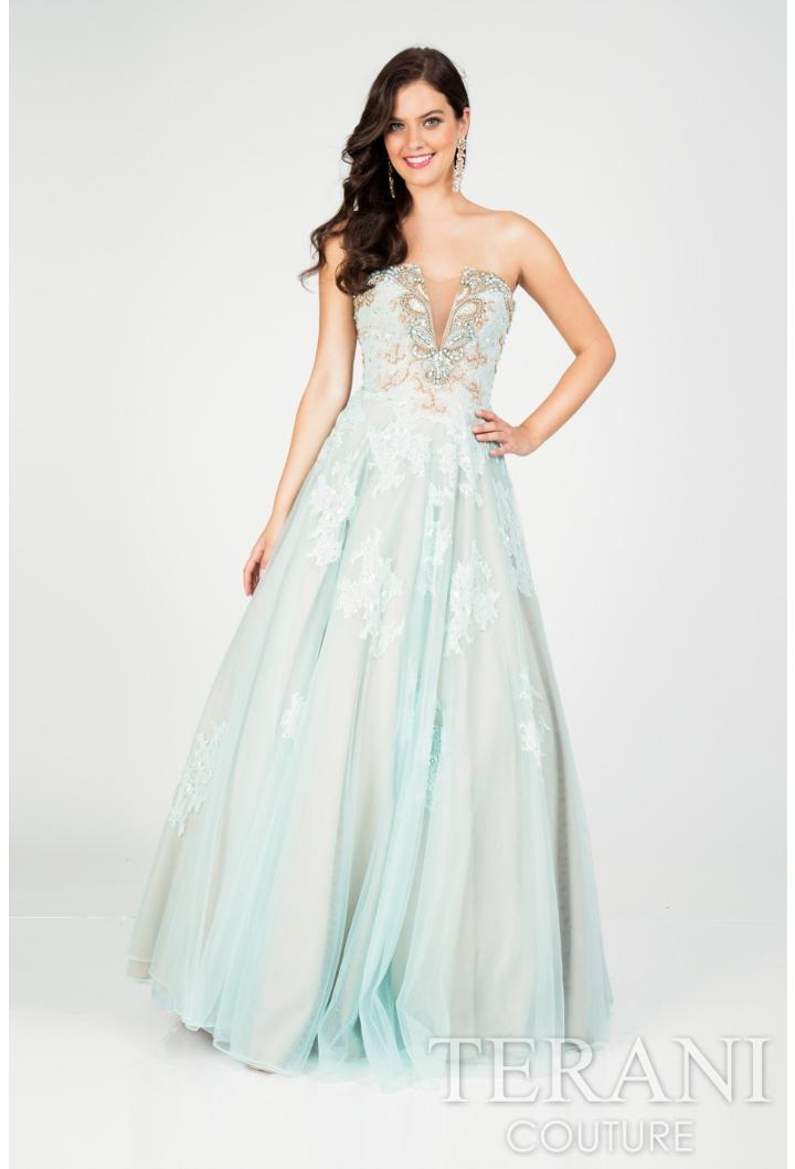 Terani Prom - Embelished Low Back Prom Gown 1711p2872