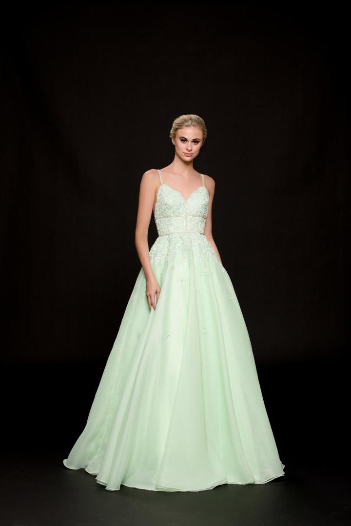 Colors Dress - 1872 Embellished V-neck Ballgown