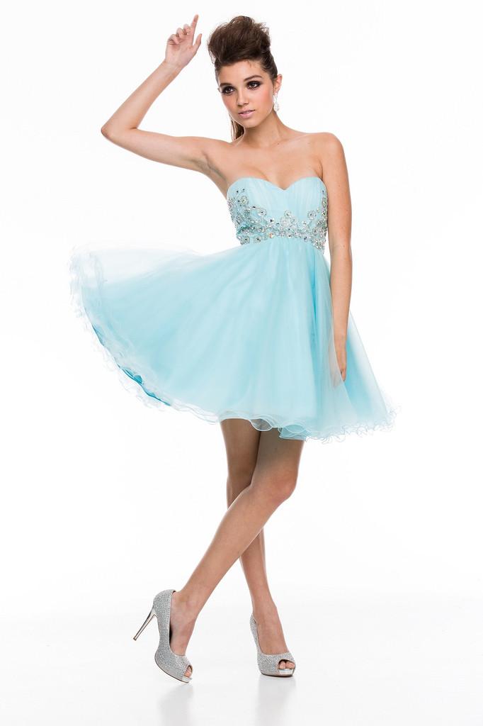 Nox Anabel - Ruched Organza Dress 6017