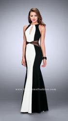La Femme - Daring Contrast Illusion Sleeveless High Neck Jersey Gown 23711