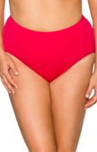 Curve Swimwear Pink Rosette 97b High Waist Bottom