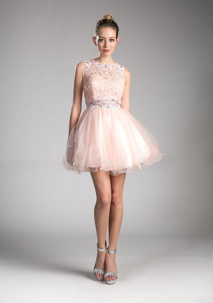 Cinderella Divine - Sleeveless Lace Bodice Tulle A-line Dress