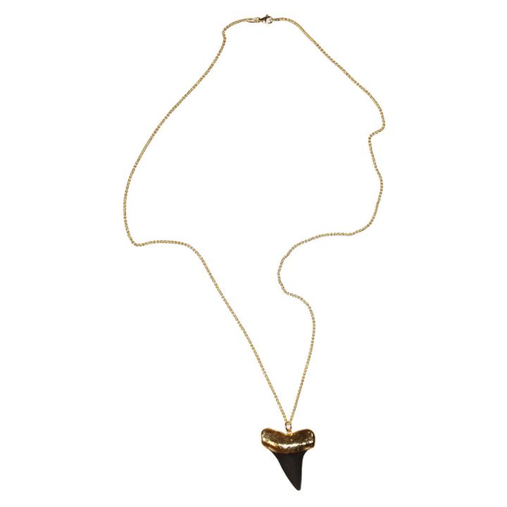 Heather Hawkins - Mako Sharkstooth Necklace