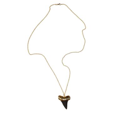Heather Hawkins - Mako Sharkstooth Necklace