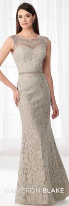 Cameron Blake - 218606w Lace Fitted Trumpet Evening Gown