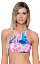 Sunsets Swimwear - Hollywood Hi-neck Top 65tlulo