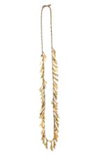 Elizabeth Cole Jewelry - Vanda Necklace Gold