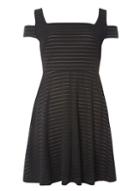 Dorothy Perkins Petite Black Stripe Dress