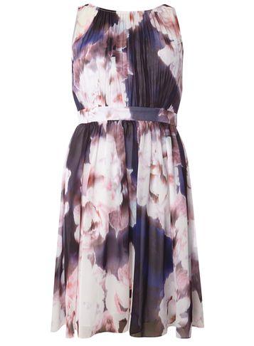 Dorothy Perkins *showcase Pink Bloom Beth Dress