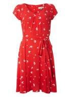 Dorothy Perkins *billie & Blossom Red Swallow Skater Dress