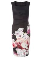 Dorothy Perkins *scarlett B Black Floral Border Lydia Dress