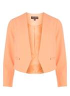 Dorothy Perkins Apricot Rivet Detail Cropped Jacket