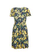 Dorothy Perkins Blue Lemon Print Fit And Flare Dress