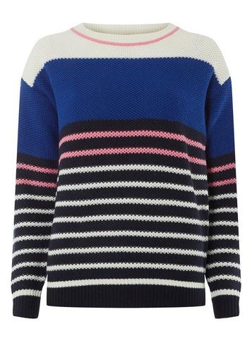 Dorothy Perkins Petite Cobalt Scooby Jumper