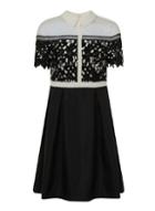 Dorothy Perkins *chi Chi London Curve Black Laser Cut Collared Dress