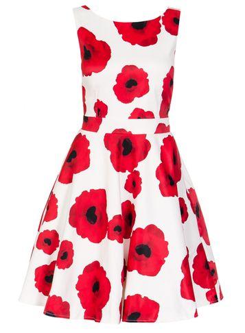 Dorothy Perkins *quiz Cream Poppy Print Satin Dress