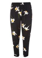 Dorothy Perkins Petite Black Daffodil Joggers