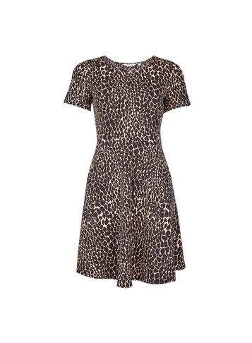 Dorothy Perkins Petite Black Animal Print T-shirt Dress