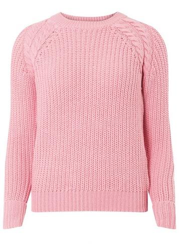 Dorothy Perkins Petite Bubblegum Pink Jumper