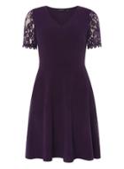 Dorothy Perkins Purple V-neck Lace Sleeve Skater Dress