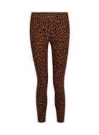 Dorothy Perkins Petite Toffee Leopard Print Trousers