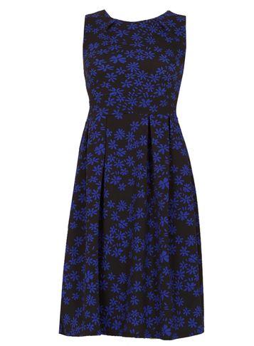 Dorothy Perkins *feverfish Black Daisy Print Skater Dress