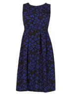 Dorothy Perkins *feverfish Black Daisy Print Skater Dress