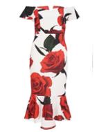 Dorothy Perkins *quiz Rose Print Bardot Frill Dress