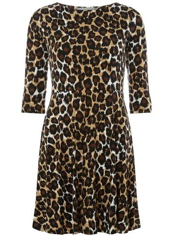 Dorothy Perkins Petite Multi Colour Leopard Print Fit And Flare Dress