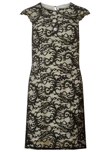 Dorothy Perkins Black And Ivory Embellished Button Lace Shift Dress