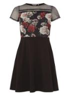 Dorothy Perkins Petite Black Floral Mesh Skater Dress