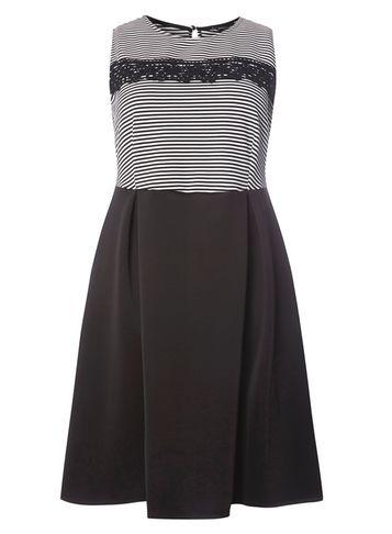Dorothy Perkins Dp Curve Stripe Fit And Flare Dress