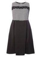 Dorothy Perkins Dp Curve Stripe Fit And Flare Dress