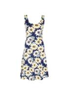 Dorothy Perkins Navy Sunflower Seamed Fit And Flare Dress