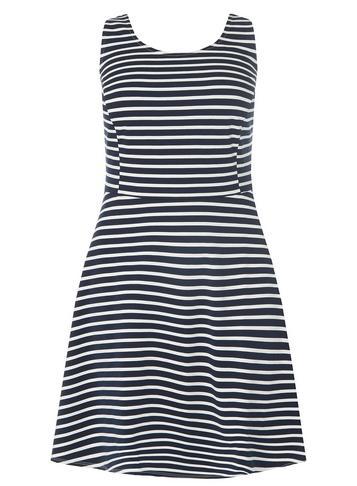 Dorothy Perkins Dp Curve Navy Striped Princess Fit And Flare Dress