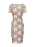 *paper Dolls Multicolour Lace Pencil Dress