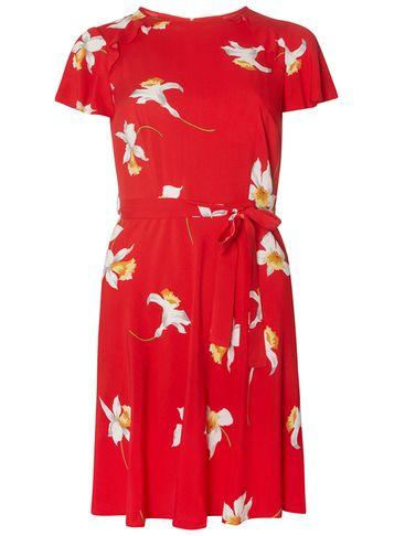 Dorothy Perkins Petite Red Daffodil Print Dress
