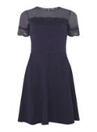Dorothy Perkins Navy Mesh And Lace Dress
