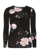 Dorothy Perkins Black Floral Printed Lace Insert Top