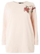 Dorothy Perkins Dp Curve Blush Embroidered Jumper