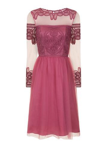 Dorothy Perkins *chi Chi London Pink Crochet Bodice Midi Skater Dress