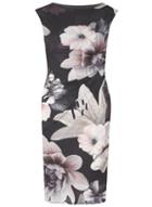 Dorothy Perkins *billie & Blossom Monochrome Blush Floral Bodycon Dress