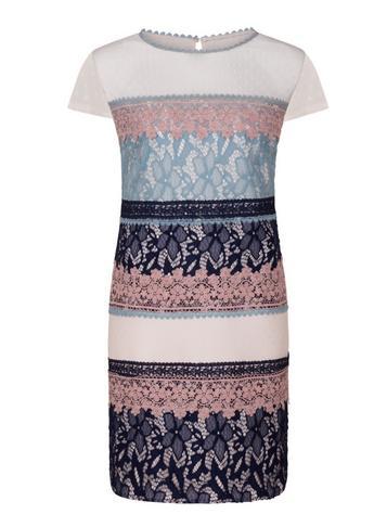 Dorothy Perkins *little Mistress Curve Multi Coloured Polka Dot Shift Dress