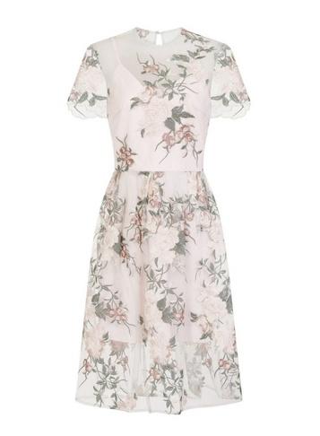 *chi Chi London Floral Embroidered Midi Dress