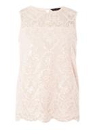 Dorothy Perkins Blush Sequin Lace Top